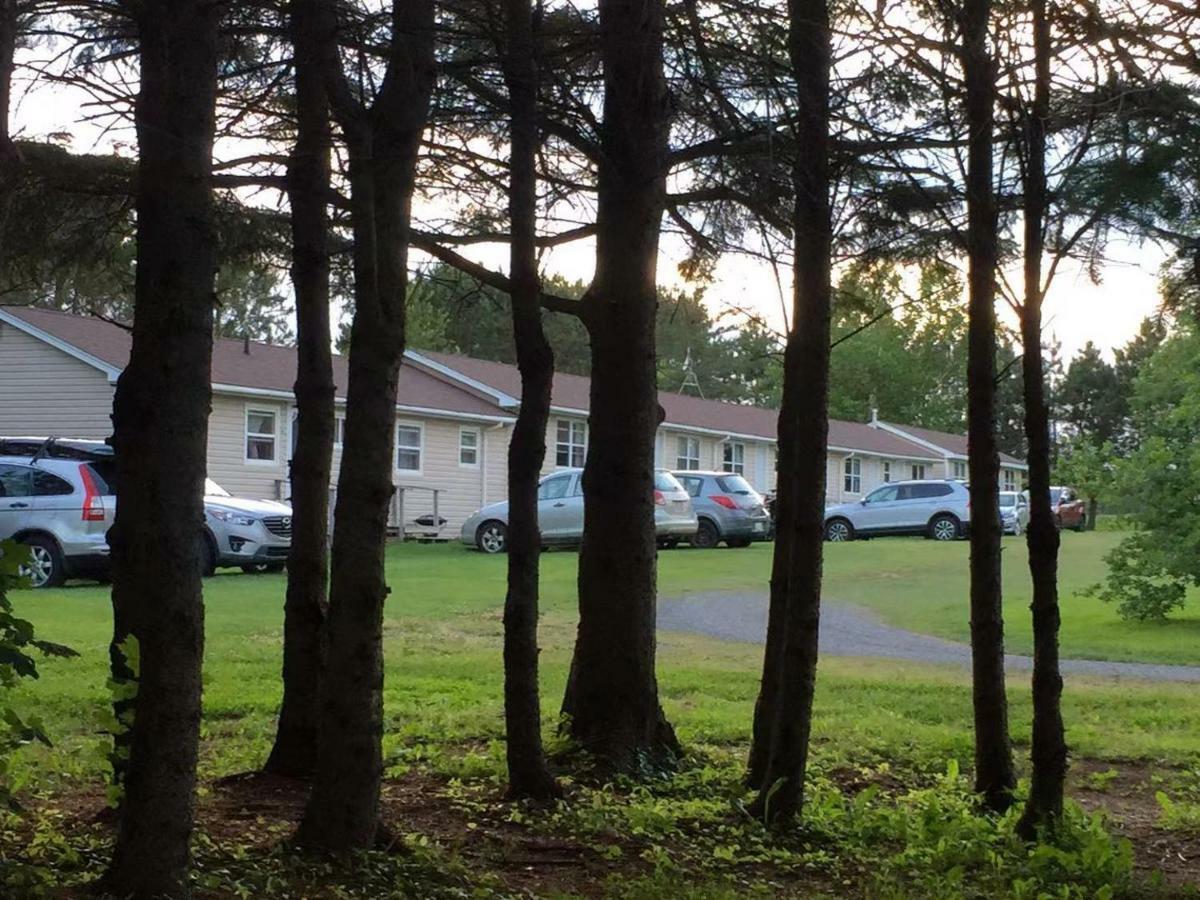 Rachel'S Motel And Cottages Surrey Екстер'єр фото